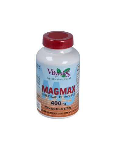 Magmax Biglicinato 120Cap.