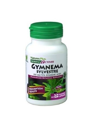 Gymnema Silvestris 60Cap.