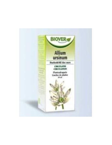 Tintura Ajo silvestre-Allium ursinum Bio 50ml Biover