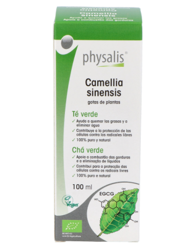 Tintura Camellia sinensis (Té Verde) 100 ml Physalis