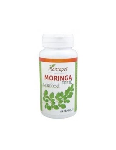 Moringa Forte (Moringa Oleifera)  60 caps. Plantapol