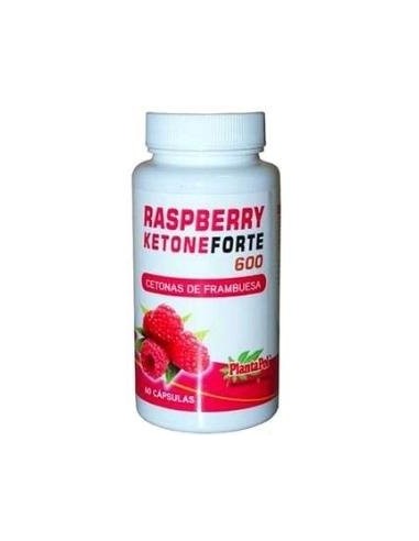 Raspberry Ketone Forte 60 Cápsulas de 725 Mg