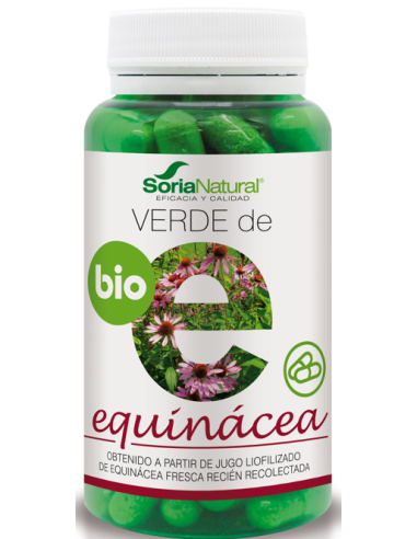 Verde De Echinacea 80Cap. de Soria Natural