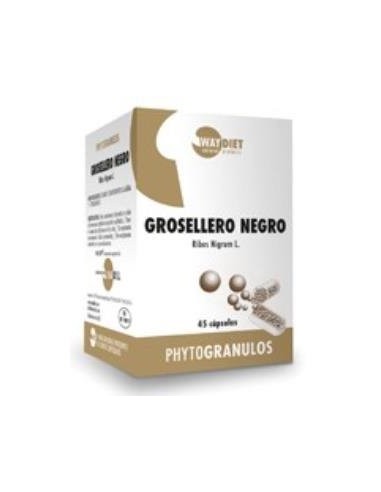 Grosellero Negro Phytogranulos 45Caps. de Waydiet Natural Products