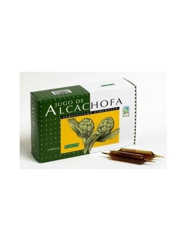 Alcachofa Eco Plantis 20Viales de Artesania