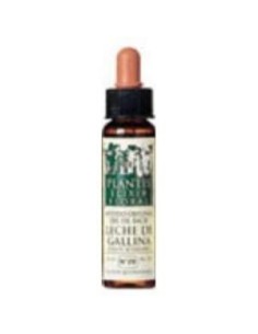 Sweet Chestnut Plantis Flores De Bach Nº 30 10Ml. de Artesania