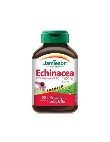 Echinacea Raiz Ext. (5:1) 30 capsulas de Jamieson