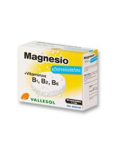 Vallesol Magnesio+B Efervescente 24 Comprimidos Vallesol