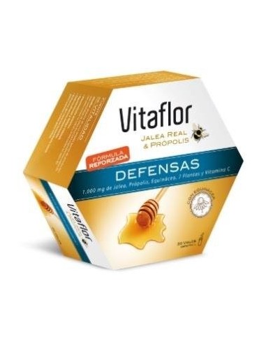 Vitaflor Defensas Echinacea 20 Viales Vitaflor