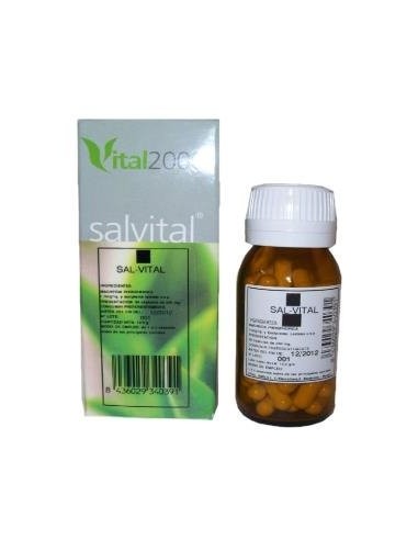 Salvital Nº4 Np Natrum Phosphoricum 40Cap. de Vital 2000
