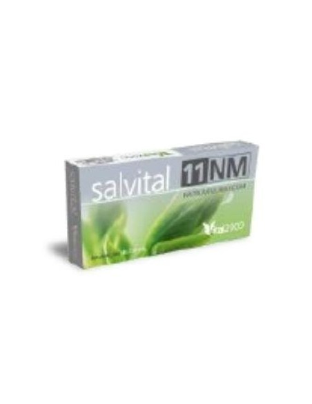 Salvital Nº11 Nm Natrum Muriaticum 40Cap. de Vital 2000