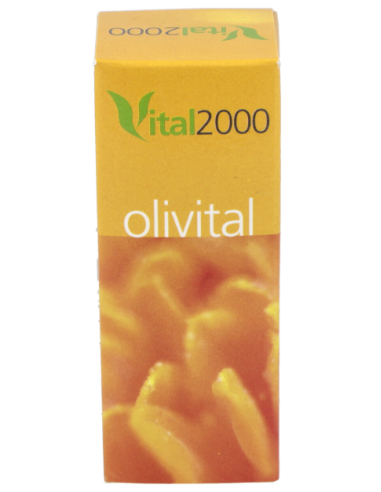 Olivital Nº11 Y Iodo 40Cap. de Vital 2000