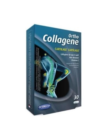 Ortho Collagene (Uc2) 30 Cápsulas  Ortho Nat
