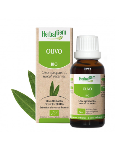 Olivo Bio 50 Ml de Herbalgem
