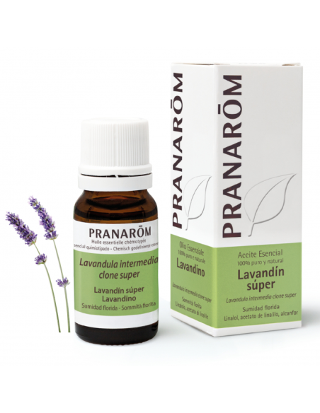 Lavandin Super Sumidad Florida 10 Ml de Pranarom