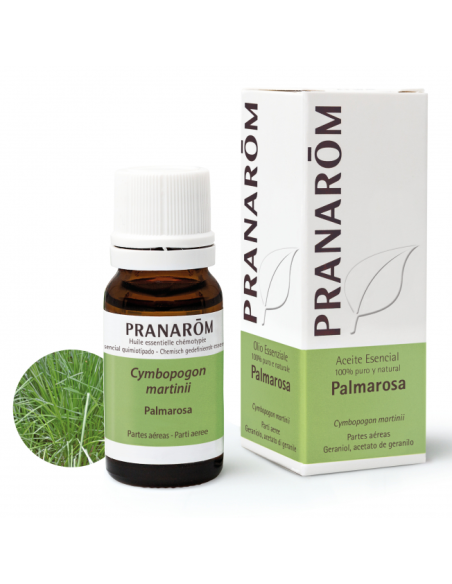 Palmarosa Partes Aereas 10 Ml de Pranarom