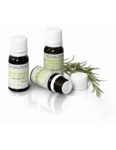 Mejorana Sumidad Florida Bio 5 Ml de Pranarom