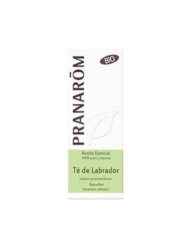 Te De Labrador Rama Flori Bio (Eco) 5 Ml de Pranarom