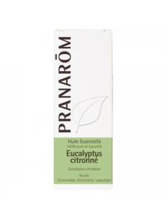 Eucalipto Azul Hoja 100 Ml de Pranarom