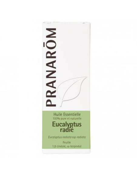 Eucalipto Radiata Hoja 100 Ml de Pranarom