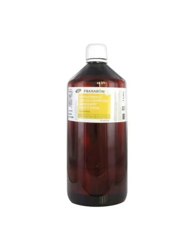 Avellana Bio 1 L Pranarom – Aceite Natural y Puro