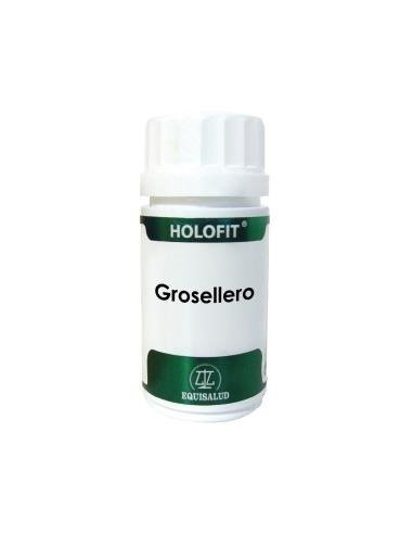 Holofit Grosellero  60 Cáp. de Equisalud