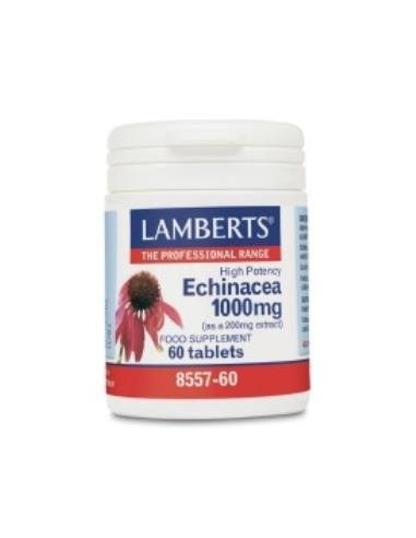 Pack de 2ud Echinacea 1000Mg. 60Cap. de Lamberts