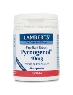 Pack de 2ud Pycnogenol 40 Mg.(Extracto De Pino Bark) 60 Cap.