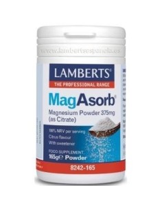 Pack de 2ud Magasorb Polvo 165Gr. de Lamberts