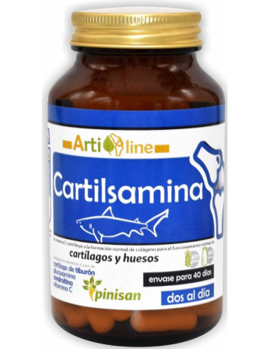 Cartilsamina, 40 Cáps. de Pinisan