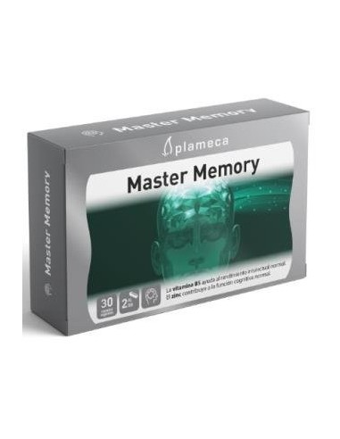 Pack de 2 unidades Master Memory 30Cap. de Plameca Pack