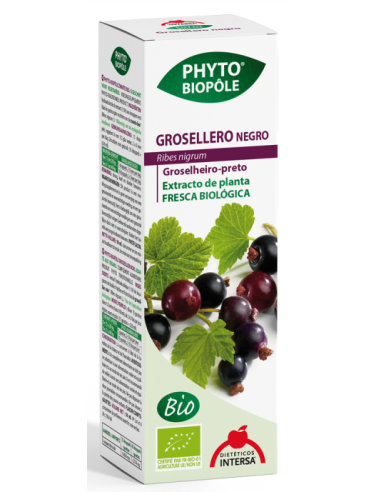 Pack 4x3 Phyto-Bipole Bio Grosellero Negro 50 Ml de Intersa