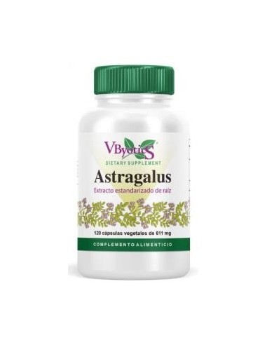Astragalus 500 mg Extracto Estandarizado 120  Cápsulas Vegetales Vbyotics