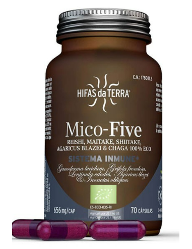 Mico Five Con Chaga Hdt 70Cap. de Hifas Da Terra - Hdt