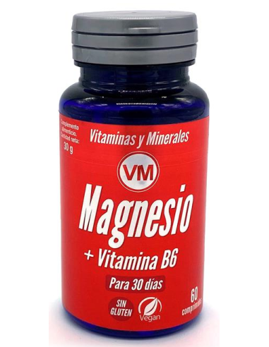Magnesio + Vit. B6 60 Comprimidos de Ynsadiet