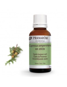 Cipres De Provenza Rama Bio 30 Ml de Pranarom