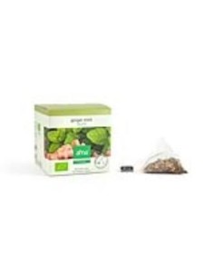 Jengibre Menta Infusion 15Piramides. Eco Vegan Alma Home