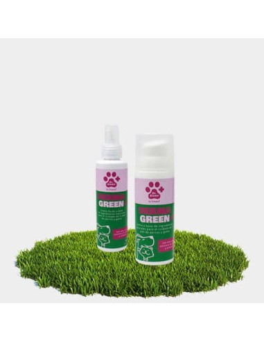 Dermagreen Skin 150Ml Spray Dr Green