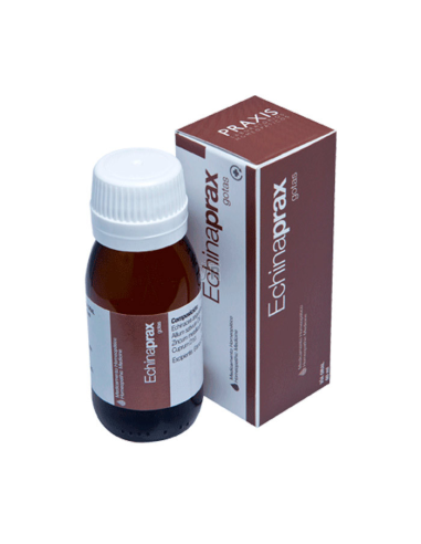 Echinaprax 60 Mililitros Praxis Pharma