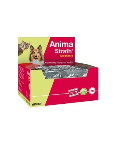 Anima Strath Magnesio Perros Y Gatos 40 Comprimidos Stangest Vet