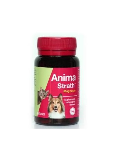 Anima Strath Magnesio Perros Y Gatos 120 Comprimidos Stangest Vet