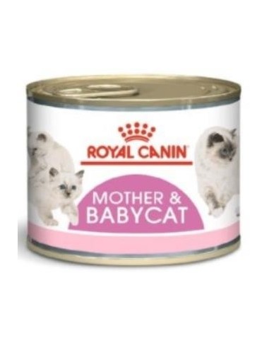 Royal Feline Mother Babycat Caja 12X195 gramos de Royal Canin Veterinaria