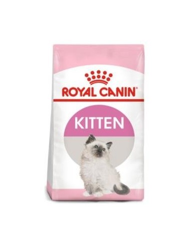 Royal Feline Kitten 2 Kilos Royal Canin Vet