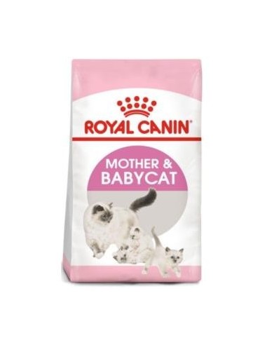 Royal Feline Babycat 34 400 Gramos Royal Canin Vet