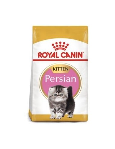 Royal Feline Kitten Persa 32 2 Kilos Royal Canin Vet