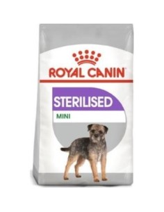 Royal Canin Adult Sterilised Mini 3 Kilos Royal Canin Vet