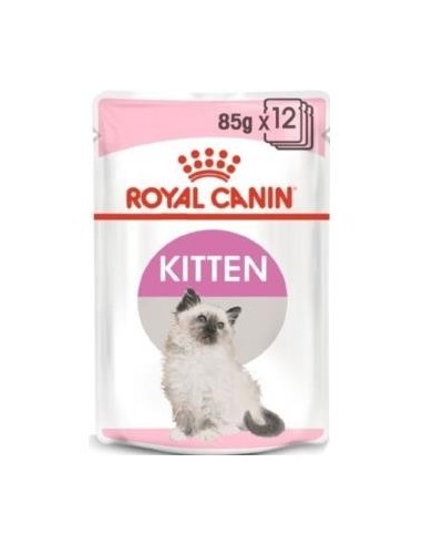 Royal Feline Kitten Gelatina 12X85 Gramos Royal Canin Vet