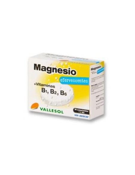 Vallesol Magnesium+B Effervescent 24 Tablets – Boost Energy