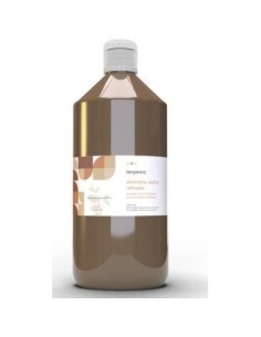 Almendras Dulces Refinado Aceite Vegetal 1Litro Terpenic