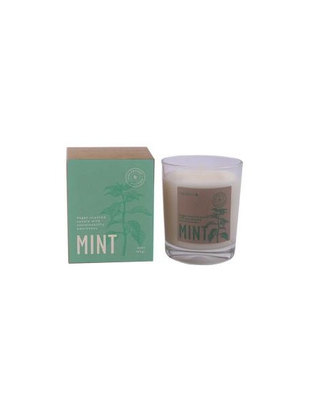 Vela Vaso Botvasm Mint Menta 7,5X9Cm 1Ud de Cerabella